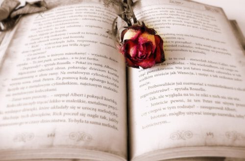 Ein aufgeschlagenes Buch mit einer Rose darauf, die für die Herzensthemen steht.